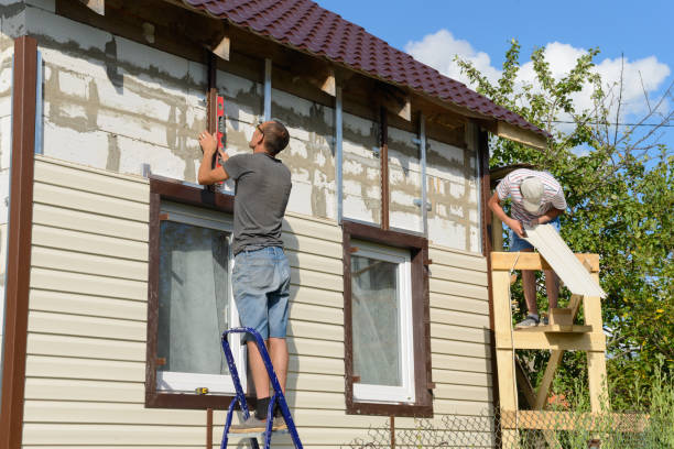 Best Steel Siding Installation  in Mount Vernon, VA